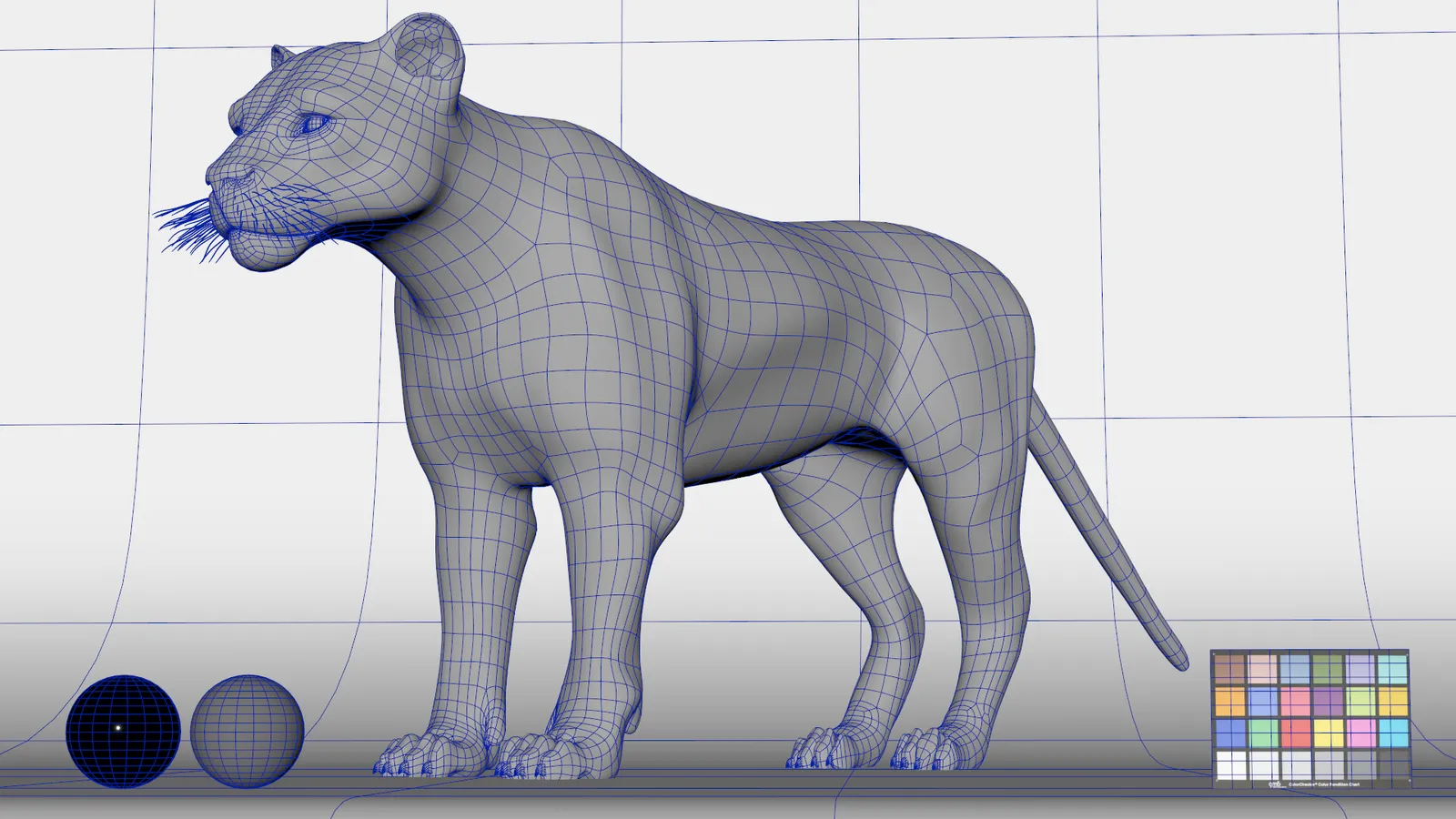 Wireframe process image 6