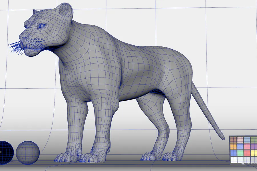 Wireframe process image 6