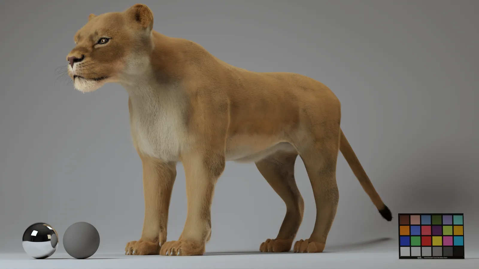 Final render process image 5